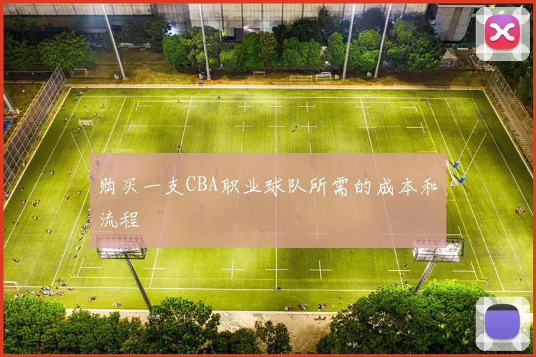购买一支CBA职业球队所需的成本和流程