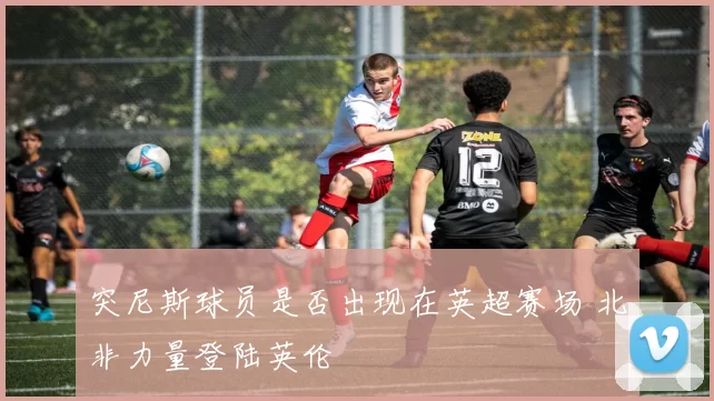 突尼斯球员是否出现在英超赛场 北非力量登陆英伦