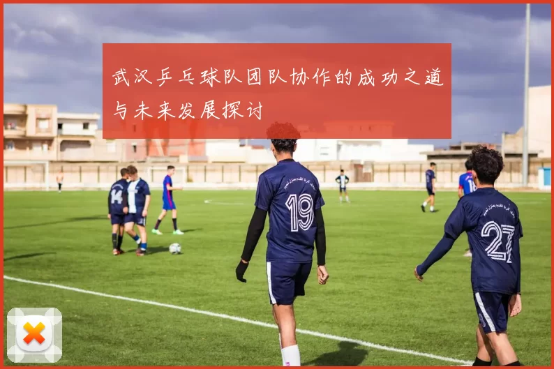 武汉乒乓球队团队协作的成功之道与未来发展探讨