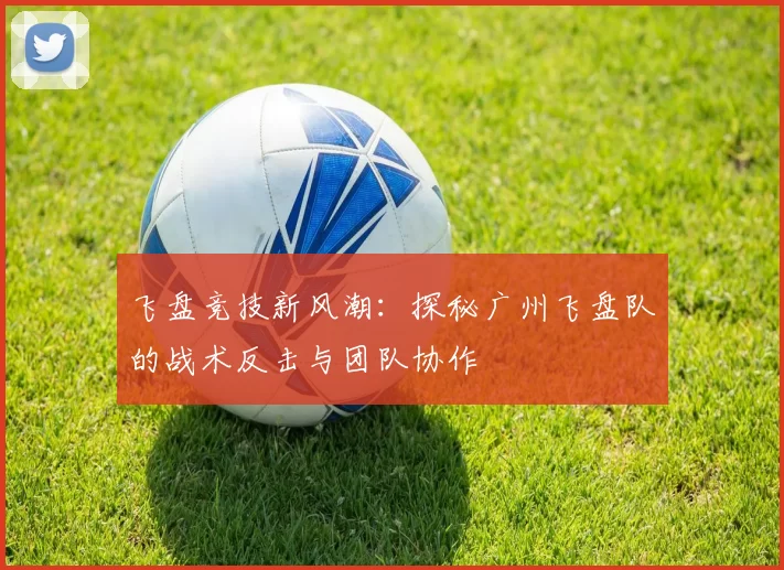 飞盘竞技新风潮：探秘广州飞盘队的战术反击与团队协作