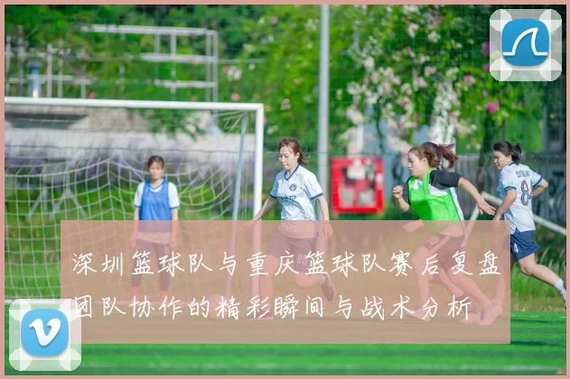 深圳篮球队与重庆篮球队赛后复盘团队协作的精彩瞬间与战术分析