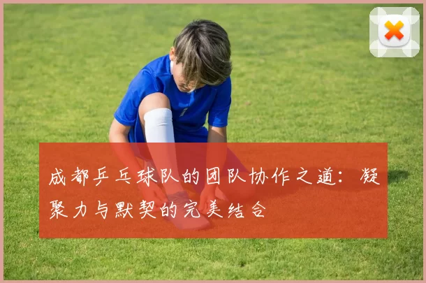 成都乒乓球队的团队协作之道：凝聚力与默契的完美结合