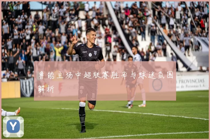 鲁能主场中超联赛胜率与球迷氛围解析