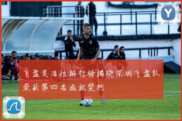 飞盘灵活性排行榜揭晓深圳飞盘队荣获第四名成就斐然