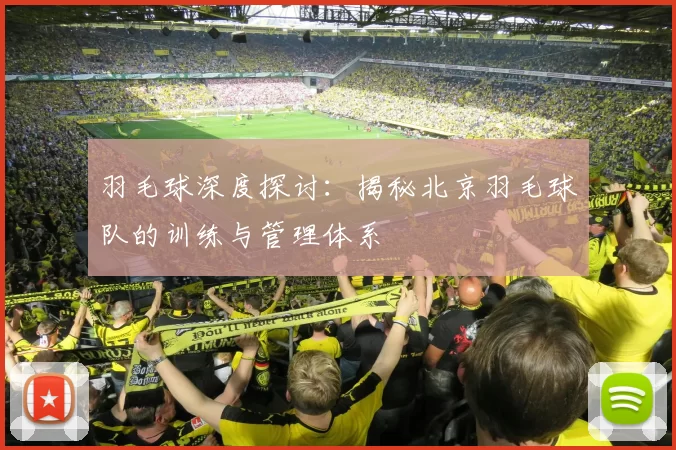 羽毛球深度探讨：揭秘北京羽毛球队的训练与管理体系