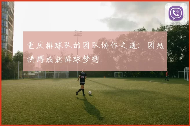 重庆排球队的团队协作之道：团结拼搏成就排球梦想