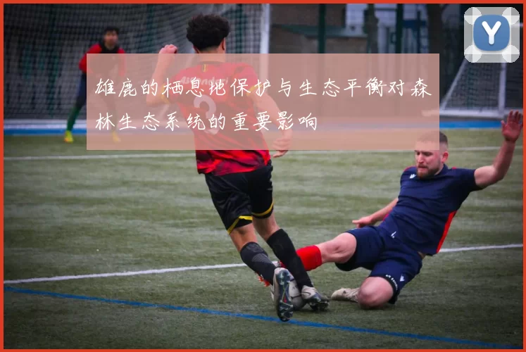 雄鹿的栖息地保护与生态平衡对森林生态系统的重要影响