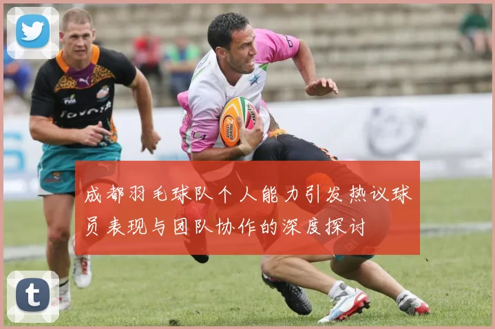 成都羽毛球队个人能力引发热议球员表现与团队协作的深度探讨